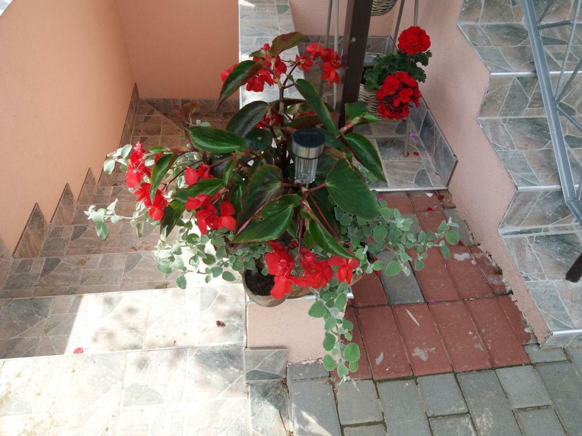 Beáta vendégház Tokaj Exterior foto
